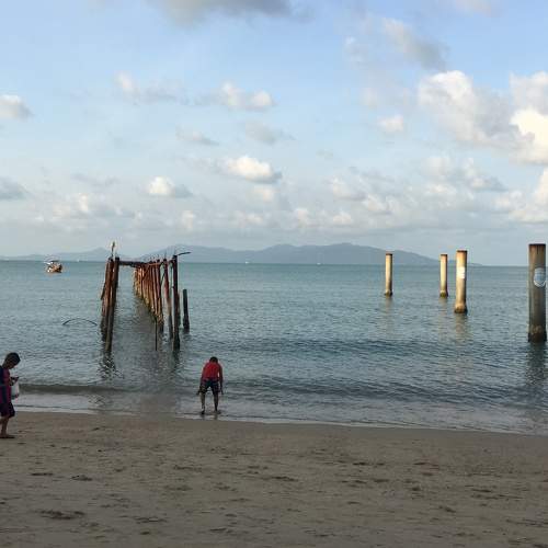 Photo #6797454
