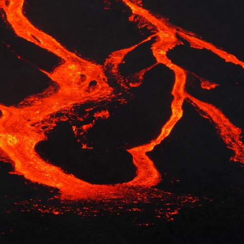 Photo #6797818
