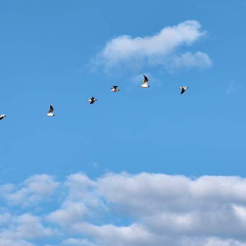 Photo #6797845