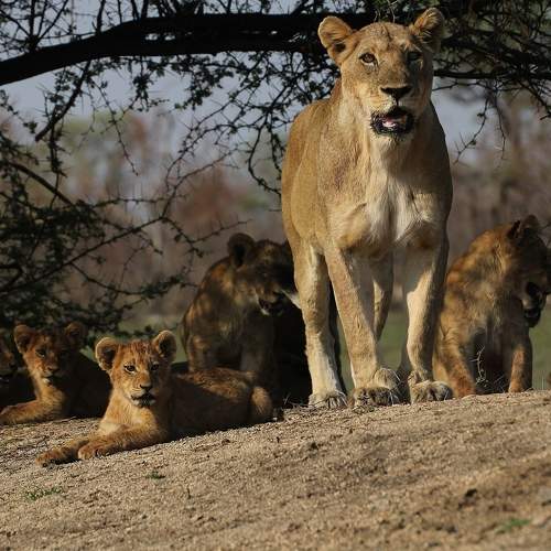 Photo #6797916