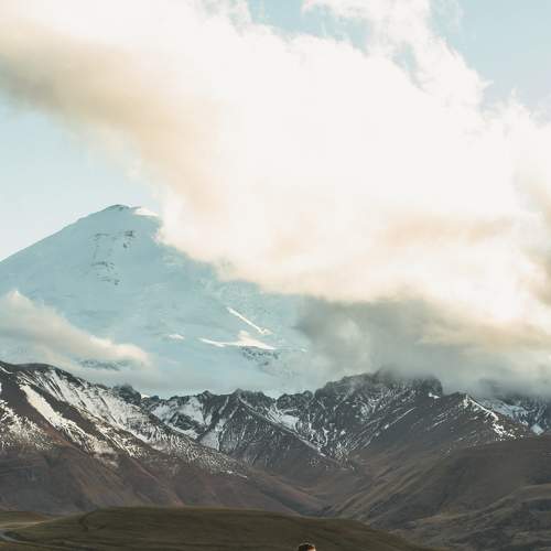 Photo #6798153