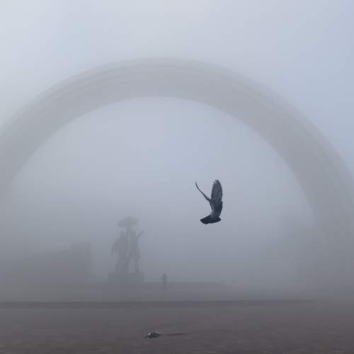 Фотография #6798201