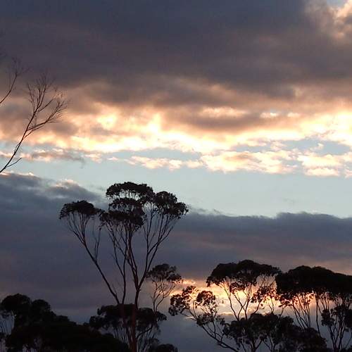 Photo #6798321