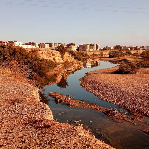 Photo #6798324