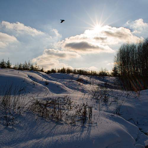 Photo #6798423