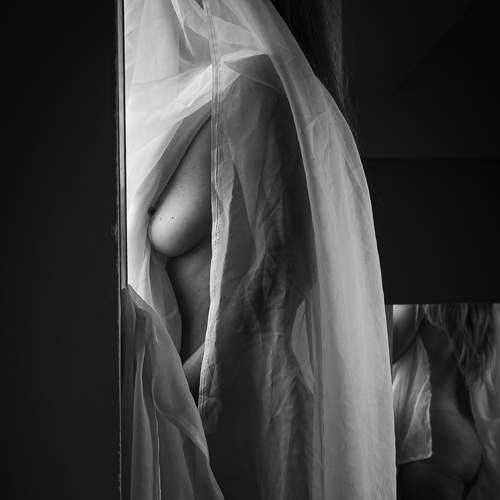 Photo #6798467