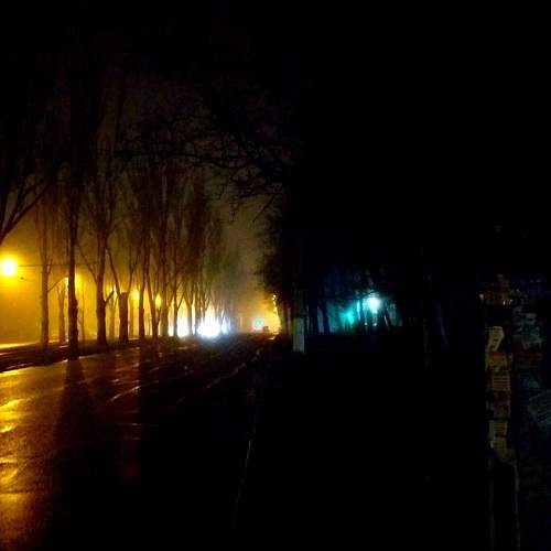 Photo #6798595