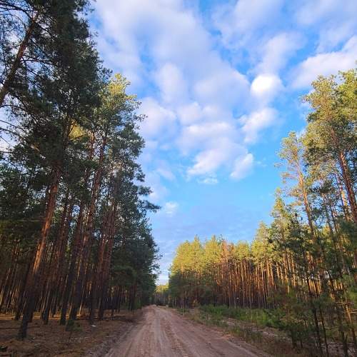 Photo #6798937