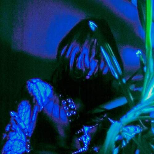 Photo #6798949