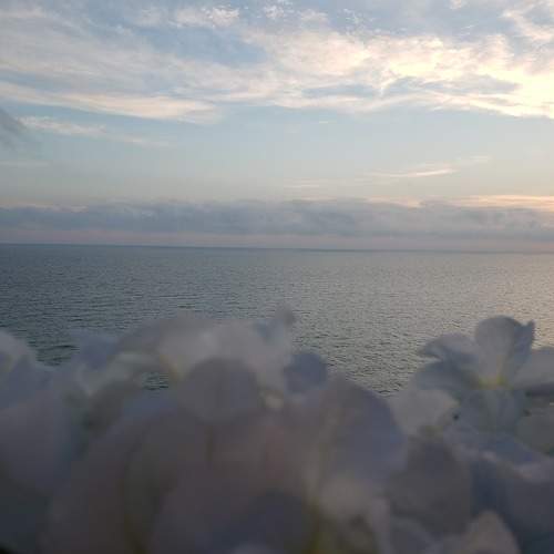 Photo #6799081