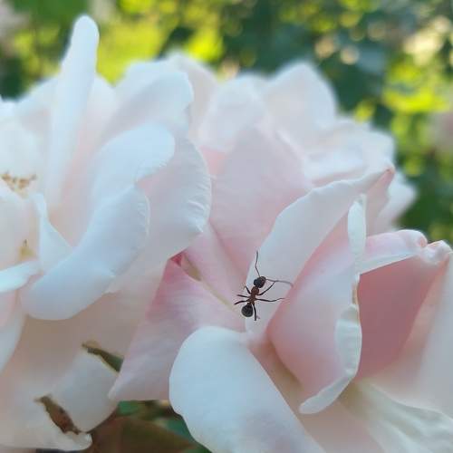 Photo #6799086