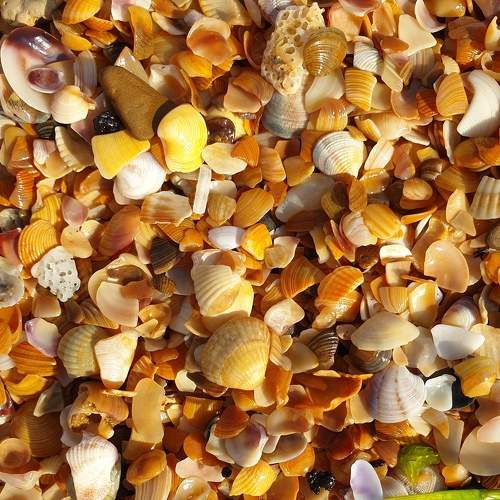 Photo #6799093
