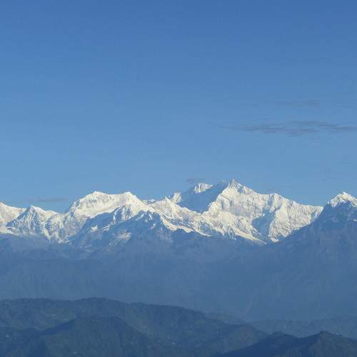 Photo #6799394