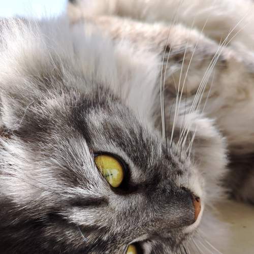 Photo #6799397