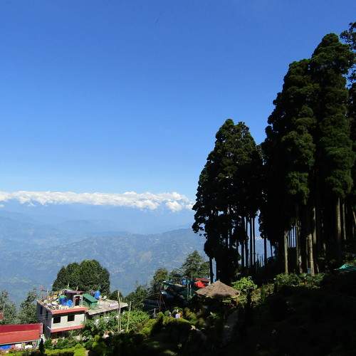 Photo #6799399