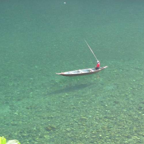 Photo #6799431