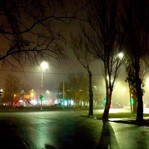 Photo #6799469
