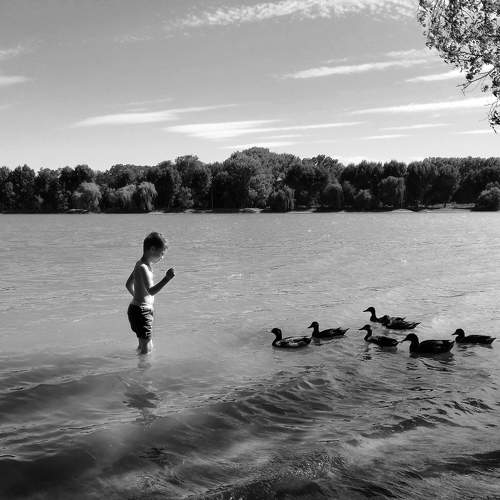 Photo #6799505