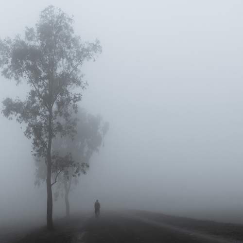 Photo #6799725