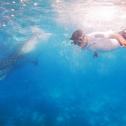 Photo #6799814