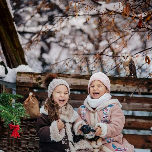 Photo #6800059