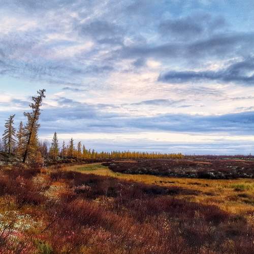 Photo #6800428