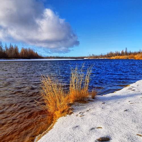 Photo #6800430