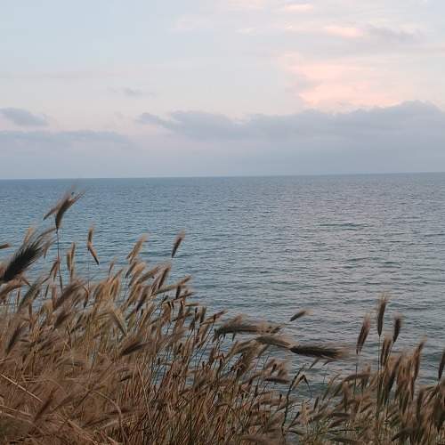 Photo #6800520