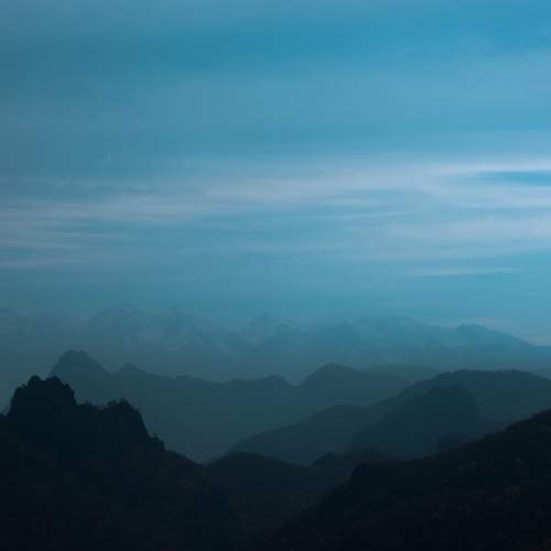 Photo #6800698