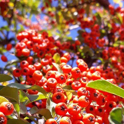 Photo #6800709