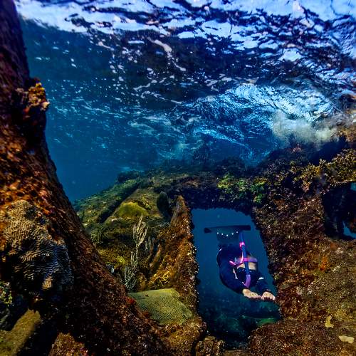 Photo #6801155