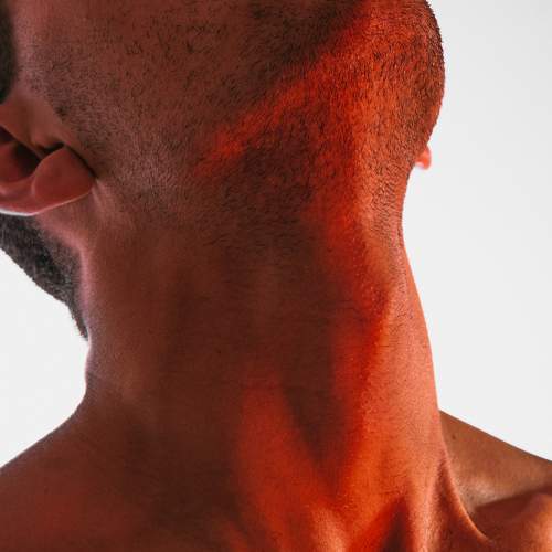 Photo #6801230