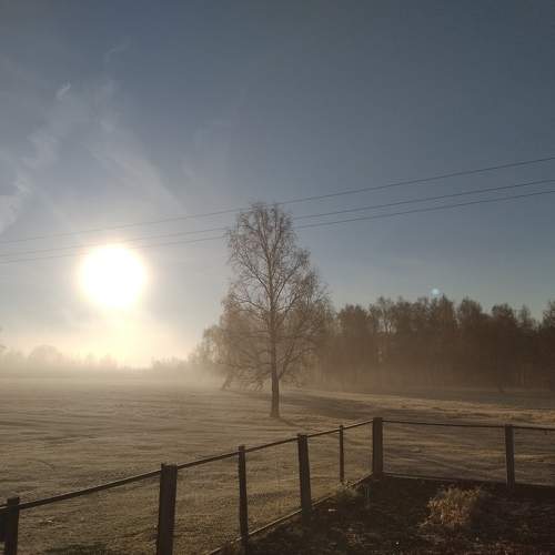 Photo #6801270