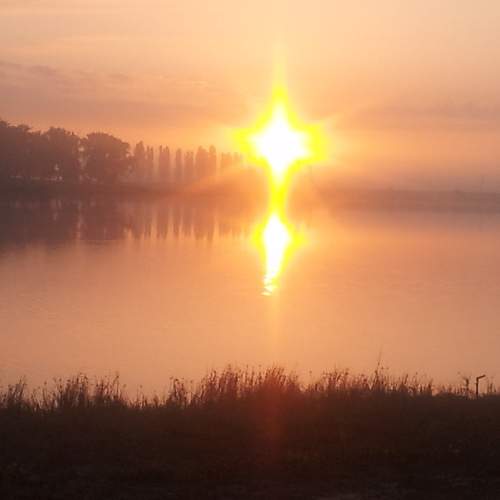 Photo #6801397