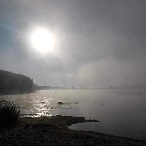 Photo #6801663