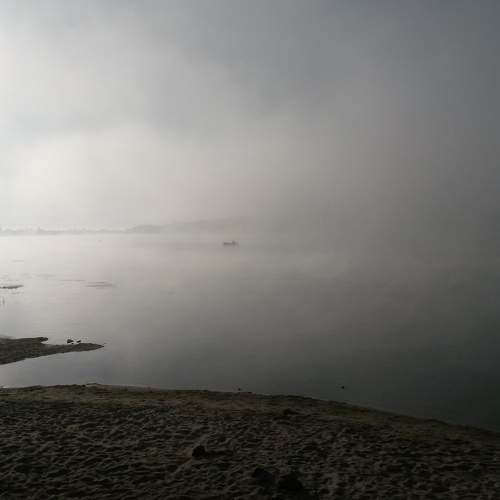 Photo #6801664