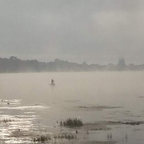 Photo #6801665