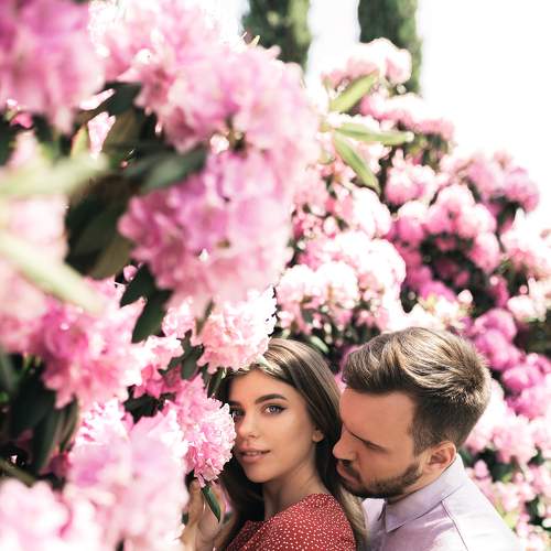 Photo #6801673