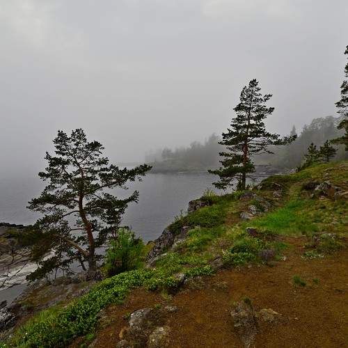Photo #6801731