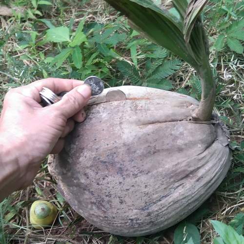 Photo #6801848