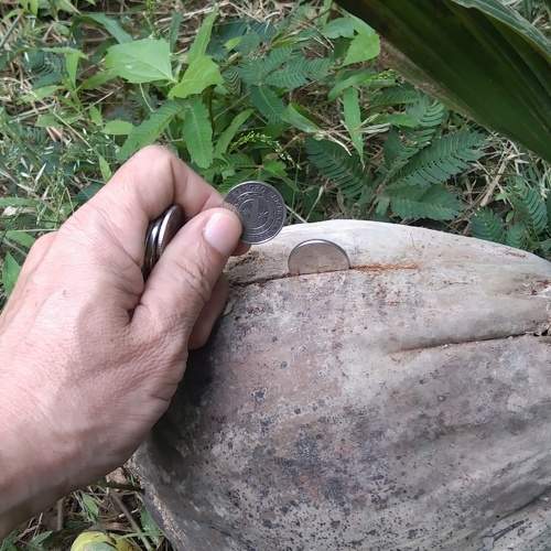Photo #6801879