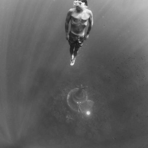 Фотография #6801888