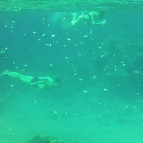Photo #6801931