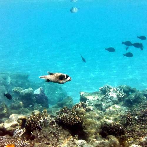 Photo #6801932