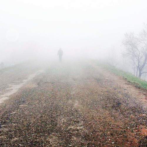 Photo #6803078