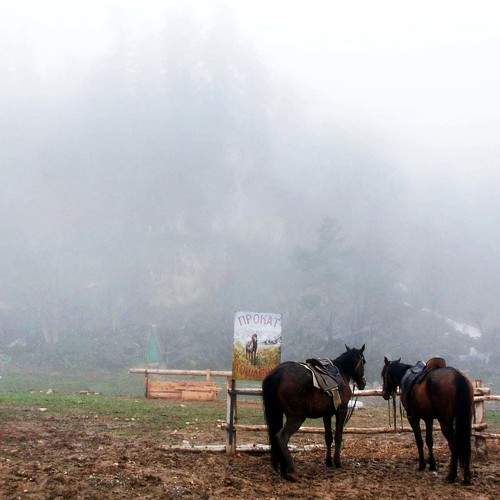 Photo #6803085