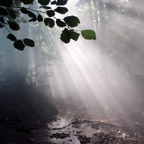 Photo #6803096
