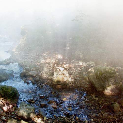 Photo #6803137
