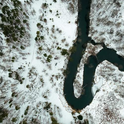 Photo #6803234