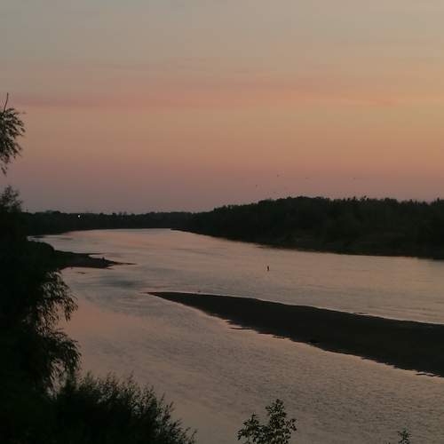 Photo #6803350